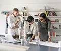 Business Management Consulting Services & Solutions - 多多28kangjun